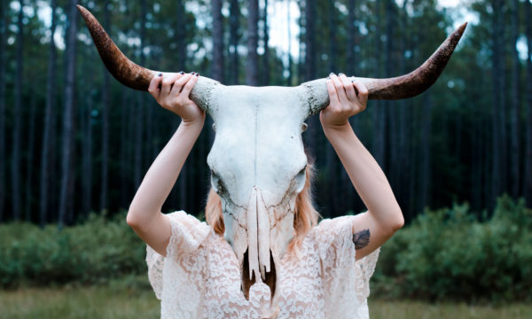 mallory-johndrow-8052-unsplash mallory-johndrow-8052-unsplash